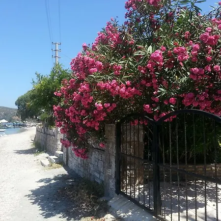 Διαμέρισμα Gizem Asya *