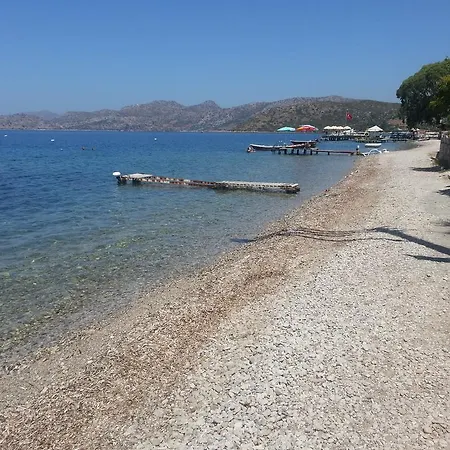 Gizem Asya Sogut (Aegean)